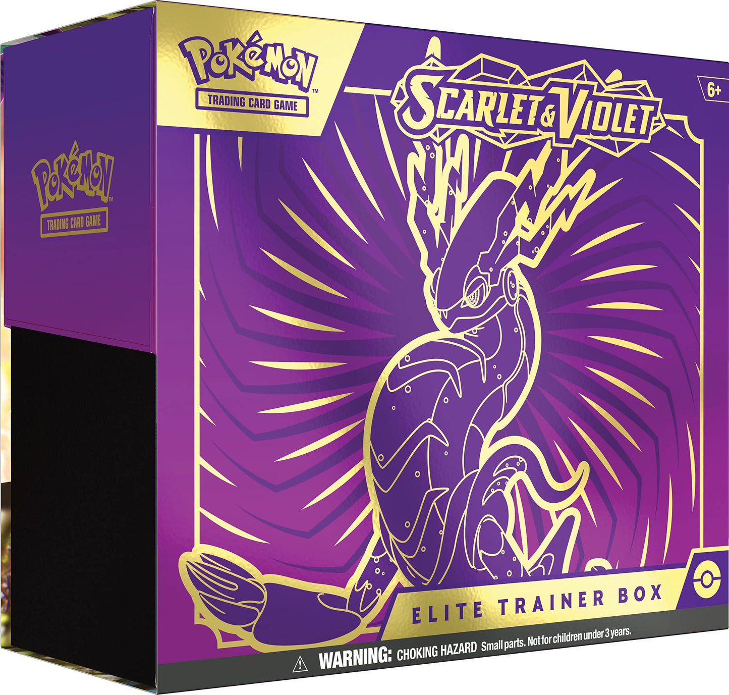 Pokemon Scarlet & Violet Elite Trainer Case (Case of 10 Boxes)